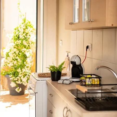 Apartment F'eris Nest Zakynthos